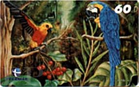 Ara ararauna (ara ararauna)
Guarouba guarouba (konura zota)