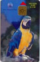 Ara ararauna (ara ararauna)
