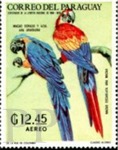 Ara ararauna (ara ararauna), 1998