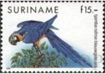 Ara ararauna (ara ararauna), 1991