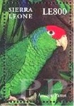 Amazona viridigenalis (amazonka krasnogowa), 2000