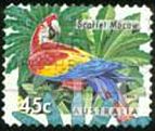Ara macao (ara toskrzyda), 1994