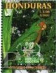 Honduras, 1999