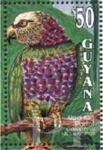 Deroptyus accipitrinus (kapturnica), 1993