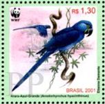 Anodorhynchus hyacinthinus (ara hiacyntowa), 2001