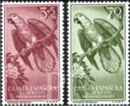 Psittacus erithacus (ako), 1957