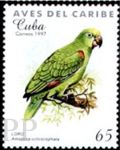 Amazona ochrocephala (amazonka togowa), 1995