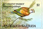 Amazona guildingii (amazonka krlewska), 1993