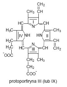 protoporfiryna